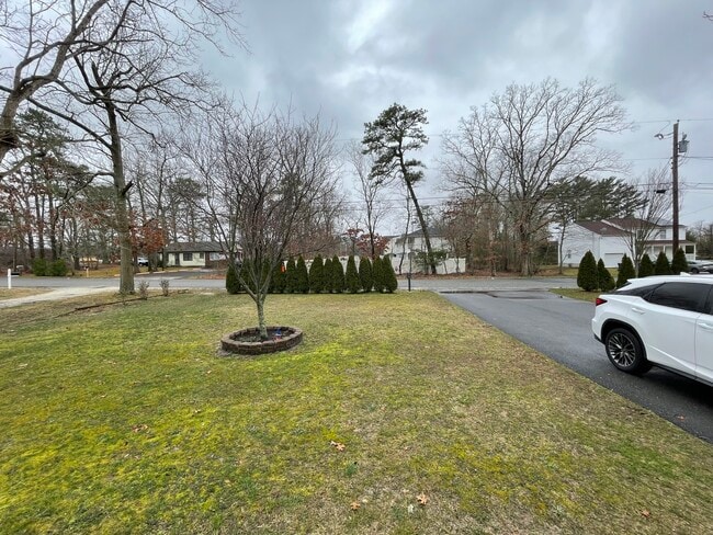 Front Yard - 259 E Oakbourne Ave