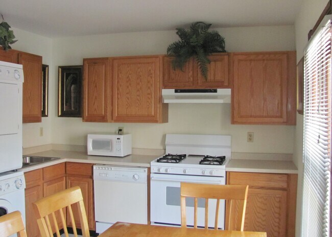 Building Photo - 207 Williams St