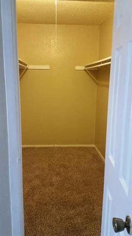 Building Photo - 2446 Buffalo Gap Rd