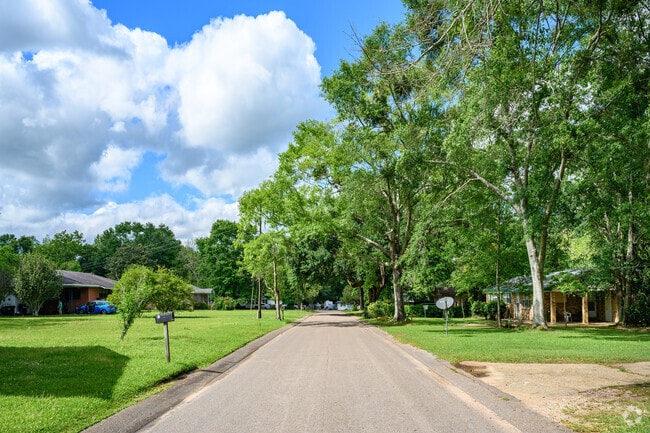 Street view in the Highland Neighborhood