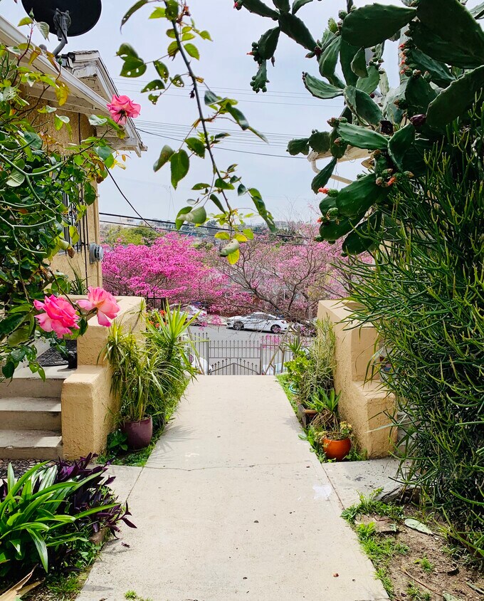 Foto principal - 1817 Bellevue Ave