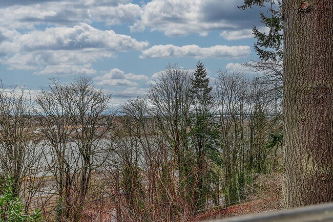 Building Photo - Spacious Forest Park Home with Views of Mt...