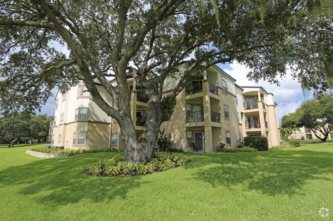 Bayside Arbors Of Clearwater Apartments Clearwater Fl Apartments Com