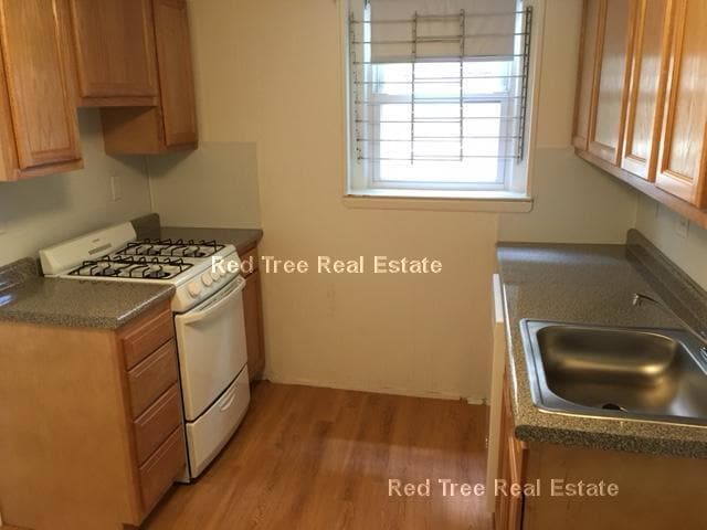 Photo - 119 Sutherland Rd Apartment