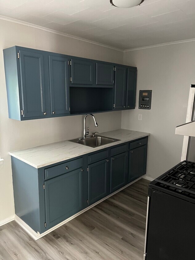 Eat-in-Kitchen w/ stainless steel appliances - 22 Albany St