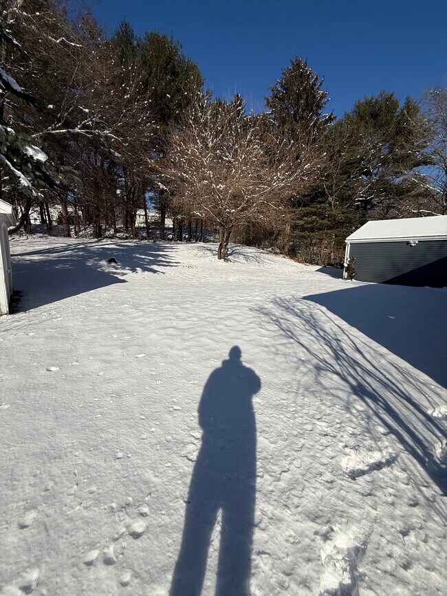 Foto del edificio - 27 Alpine Dr