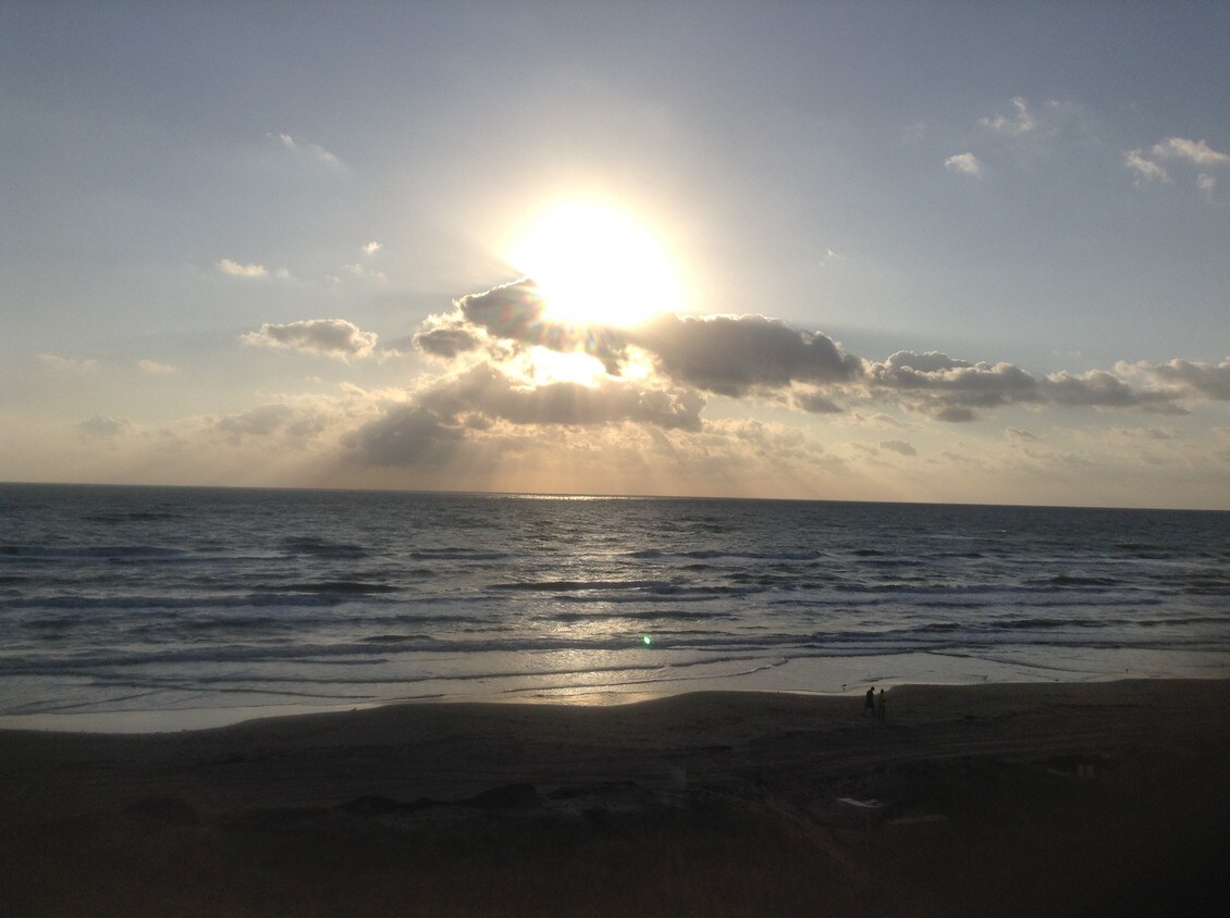 5600 Gulf Blvd Unit 403, South Padre Island, TX 78597 Condo for Rent