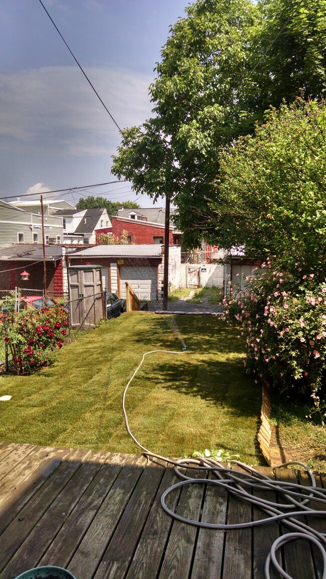 Backyard (Facing Alley) - 527 E Marion St