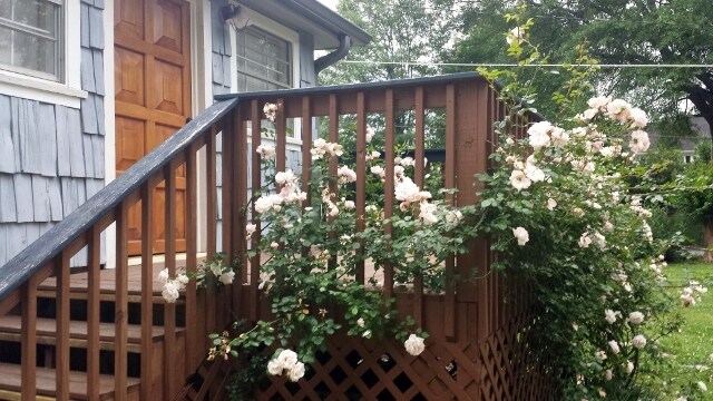 Foto del edificio - 135 Marble Mill Rd NW