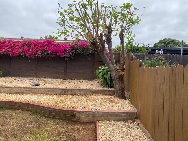 South Back Yard - 1263 Bostonia St