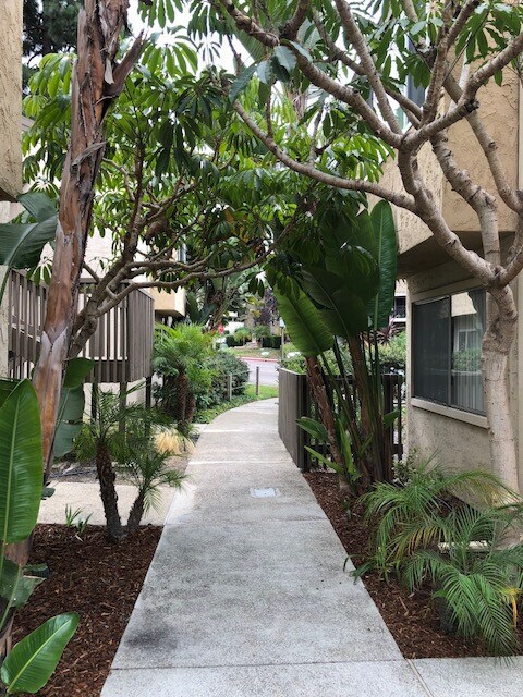 Foto del edificio - Prime Location in La Jolla!