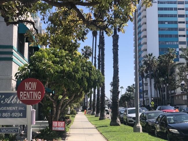 Building Photo - Ocean Park Apartments