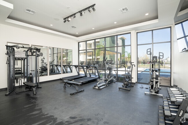 Senderos en el gimnasio Jackson - Trails on Jackson