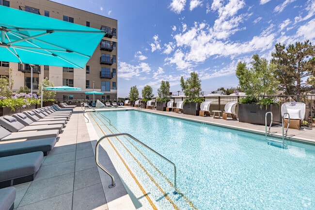 Pool - Elowen Apartments
