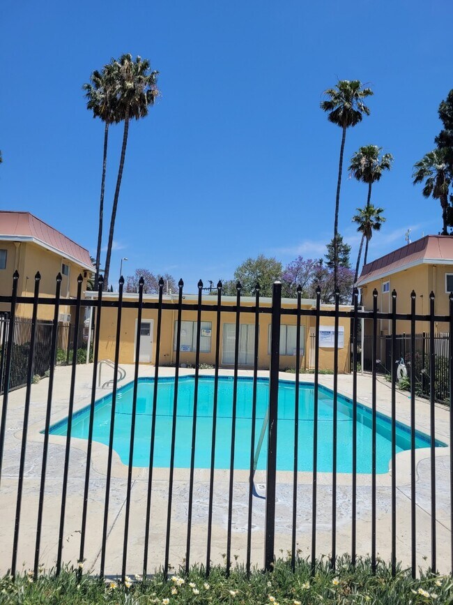 POOL - 10041 Sepulveda Blvd