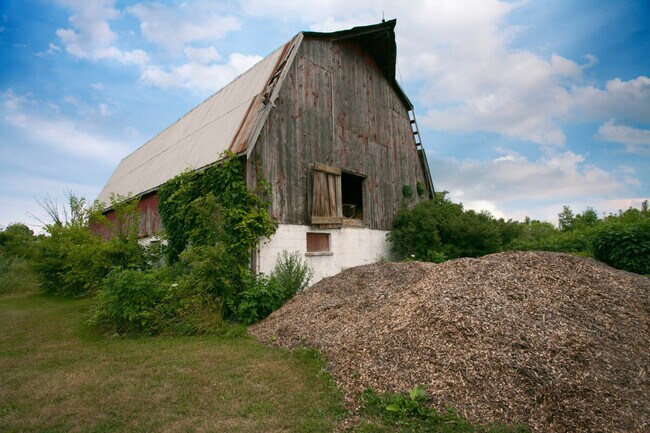 An abandoned barn in Amherstburg, Ontario.