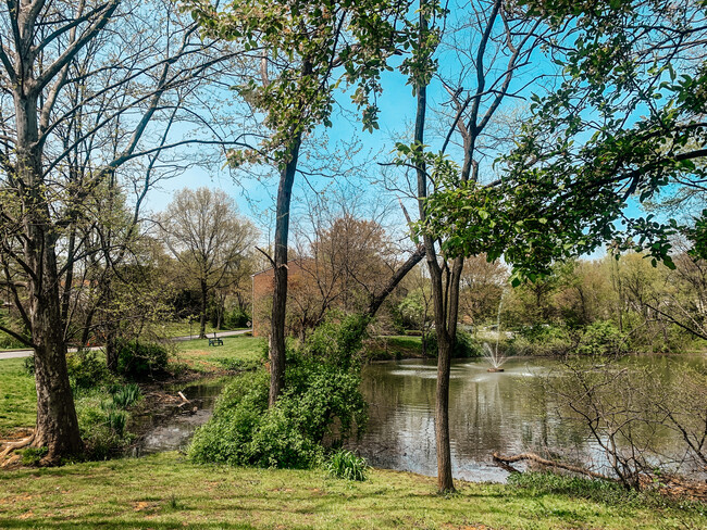 Neighborhood Pond - 3307 Valley Dr