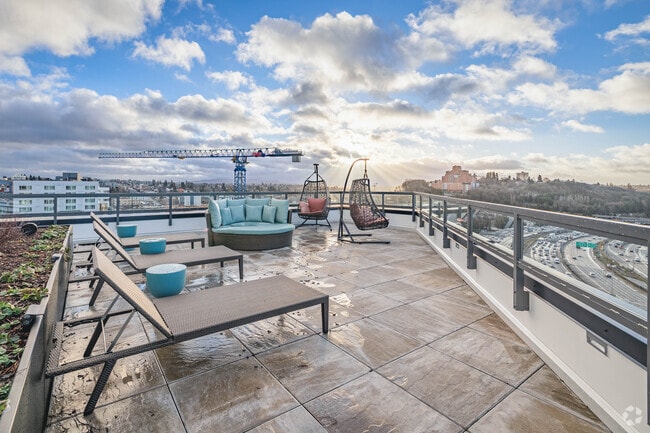 Rooftop Lounge - Swell