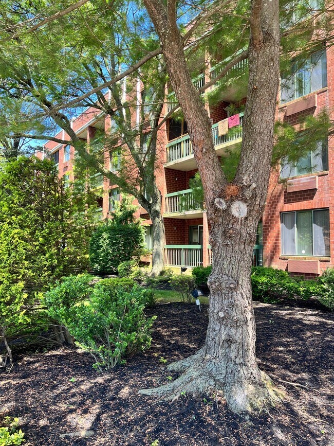 Foto del edificio - 121 Wellington Ct