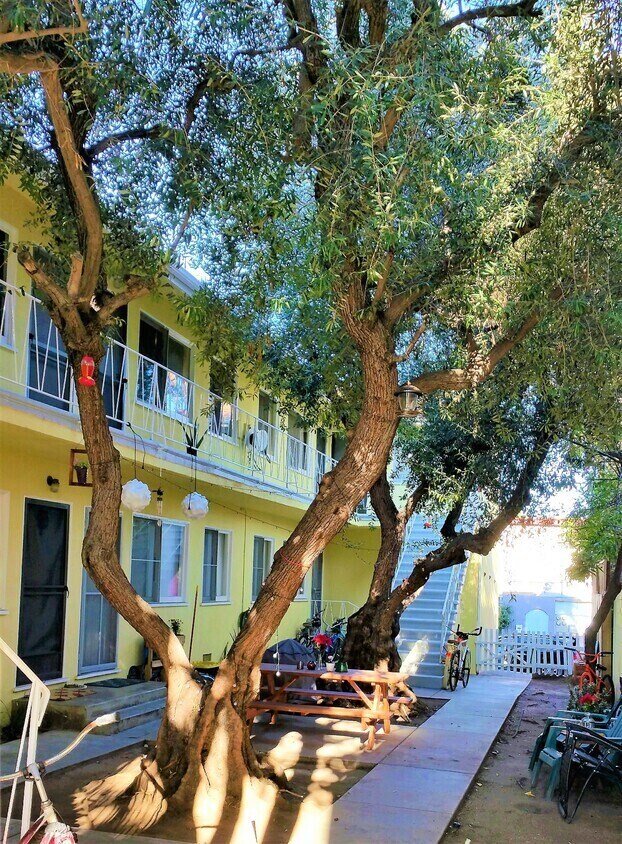 Foto principal - 2645 4th St
