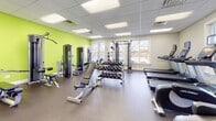 Located at 1920 Dunlap Crescent in Chester, Virginia, this fitness center is a well-appointed, single-floor facility designed to support a comprehensive workout experience. The space is divided into distinct exercise zones, each outfitted with purpose-specific equipment to accommodate a wide range of fitness routines.

The cardio area features multiple treadmills and elliptical machines, all equipped with individual display consoles, as well as a stair climber and a rowing machine. Large windows throughout this zone allow ample natural light to fill the space, offering views of the surrounding neighborhood. The drop ceiling with recessed panel lighting ensures consistent illumination across all areas.

The strength training zone is highlighted by a vibrant lime-green accent wall, creating an energetic atmosphere. This area is equipped with a full cable pulley machine, a multi-station weight system, a dumbbell rack with a comprehensive range of free weights, and an adjustable weight bench. Additional resistance training machines line the walls, providing options for targeted muscle training.

A dedicated functional fitness area offers stability balls in various sizes stored on a vertical rack, step platforms, and medicine balls, catering to balance and core conditioning workouts. Floor-to-ceiling glass panels connect the zones, enhancing the sense of openness. The durable rubber flooring throughout the facility provides safety and comfort underfoot, making this a fully equipped fitness destination.