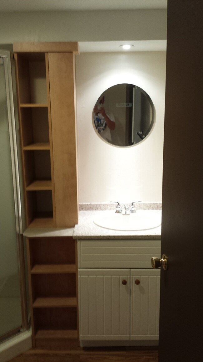 Baño del sótano - 731 Crawford Dr