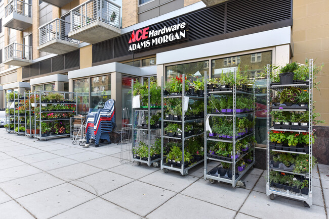 Foto del edificio - 2022 Columbia Rd NW