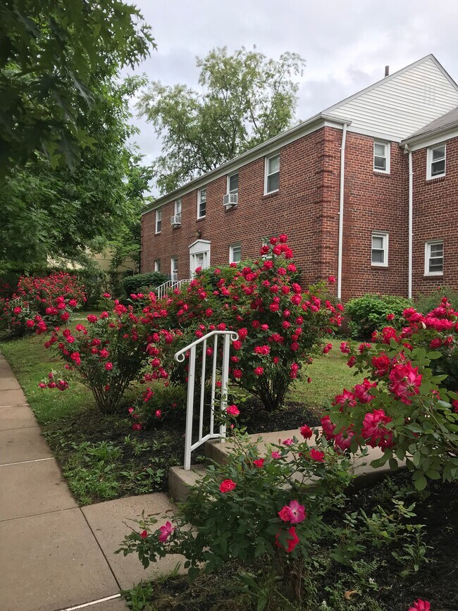 327 Benner St Unit A2, Highland Park, NJ 08904 Apartments in Highland