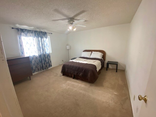 Foto del edificio - 73874 Sunnyvale Dr
