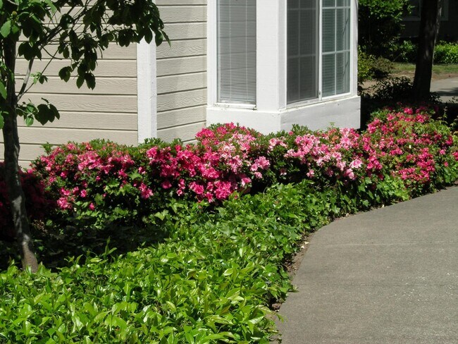 Foto del edificio - 1920 Lazzini Ave