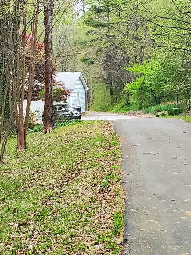 Driveway into first garage - 1713 N Main St