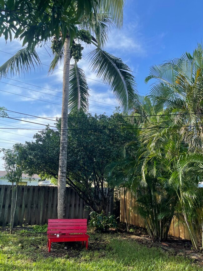 Backyard - 50 NE 45th Ct