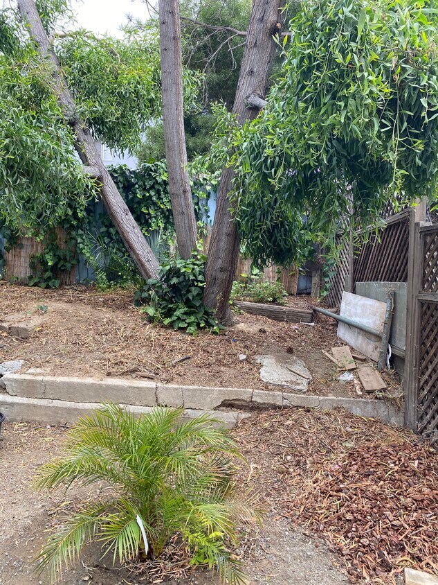 Large private yard - 525 Talbart St