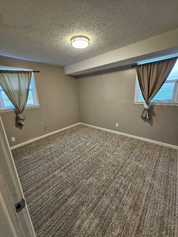 Foto del edificio - 4314 3rd St NE