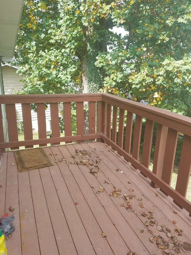 front porch - 820 Grand St