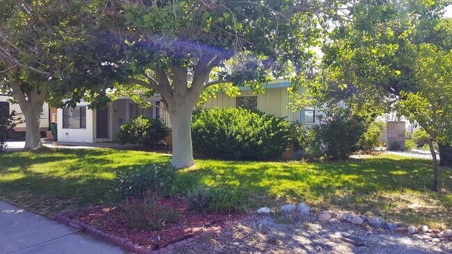 Building Photo - Garden lover?