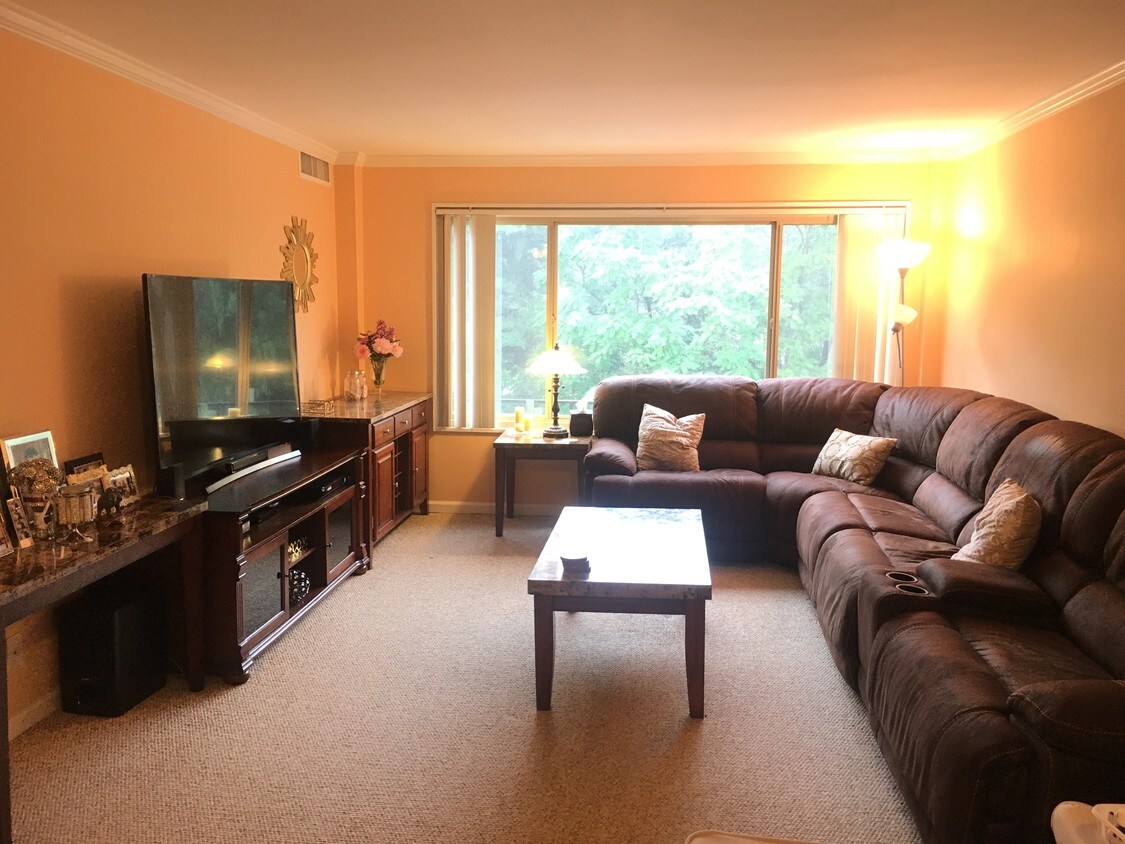 10570 Main Street, Fairfax, VA 22030 Condo for Rent in Fairfax, VA