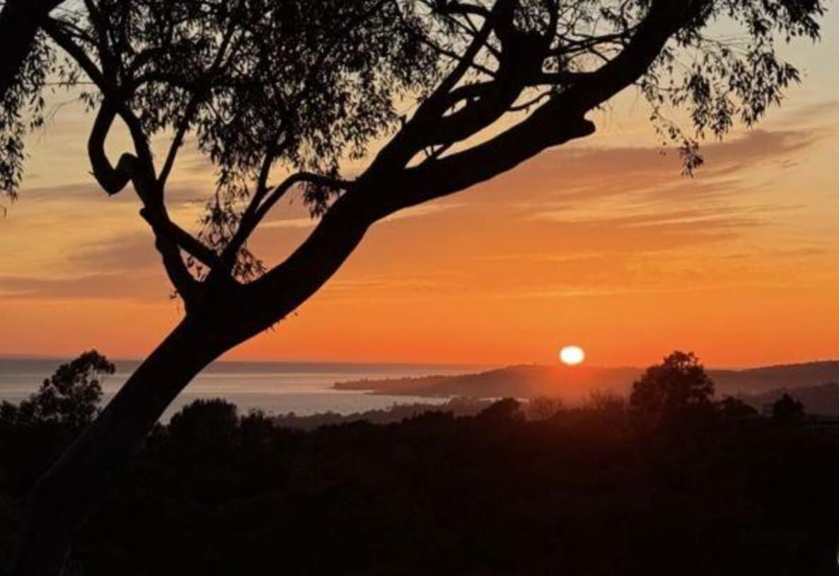 Building Photo - 2891 Hidden Valley Ln