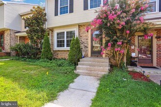 Building Photo - 12627 Black Saddle Ln