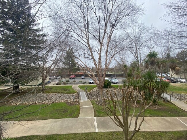 View from the bedroom - 1221 Morse Ave