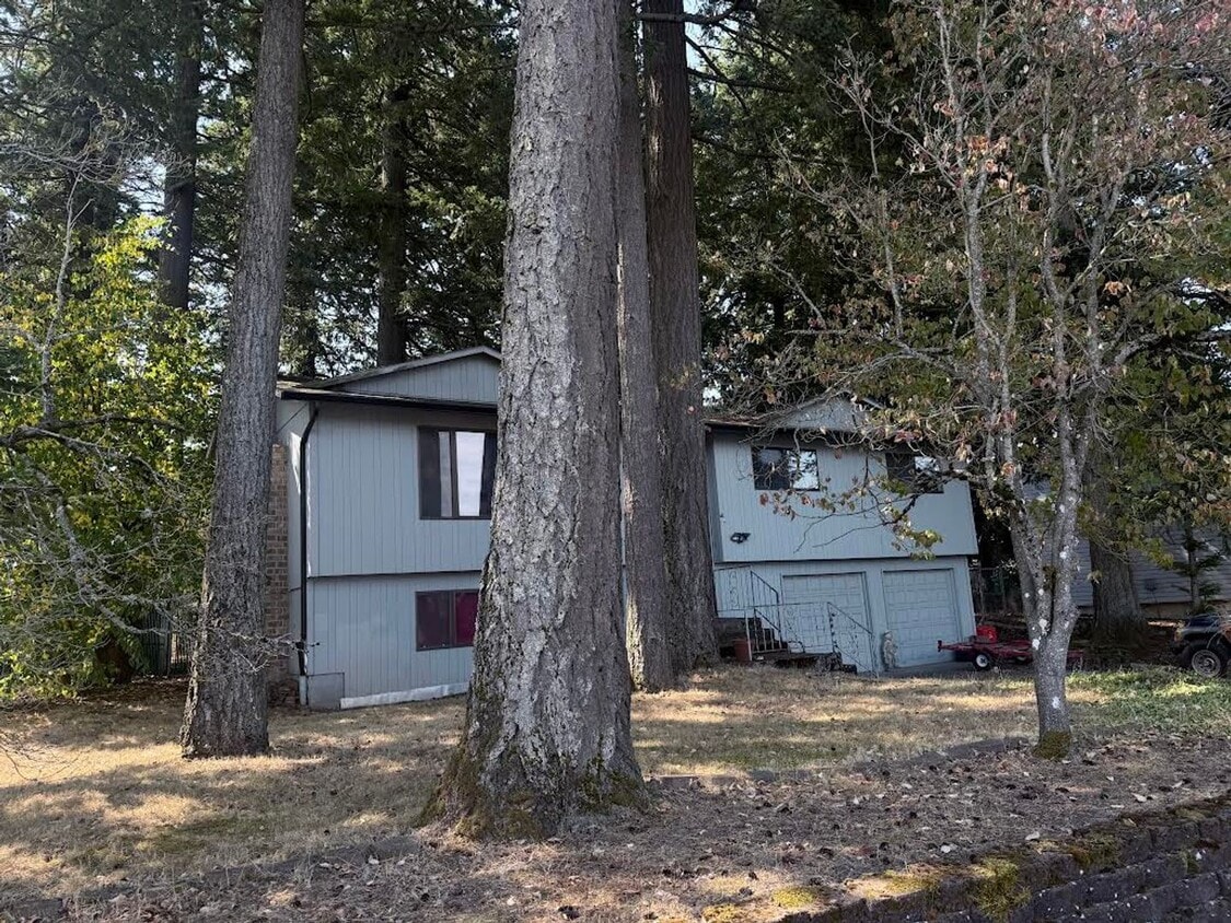 Building Photo - Among the Trees