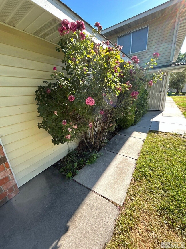 Building Photo - 5020 Catalina Dr