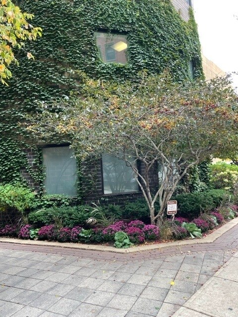 Foto del edificio - 40 E 9th St
