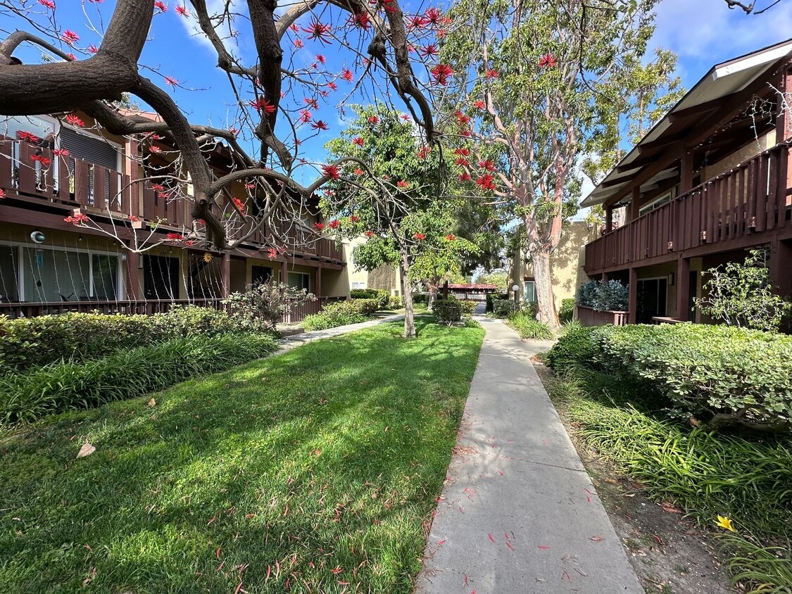 Primary Photo - PET FRIENDLY! !Amazing 1 bedroom apartment...