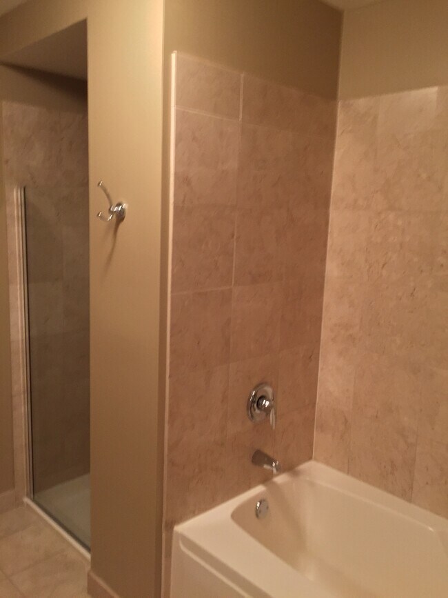 Master Bathroom - 1160 S Michigan Ave