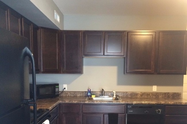 Full kitchen with all appliances! - 350 E Madison St