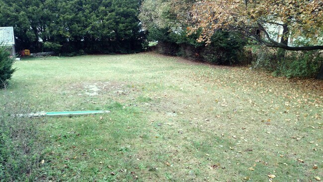 Mucho espacio en el patio - 2504 Chili Ave