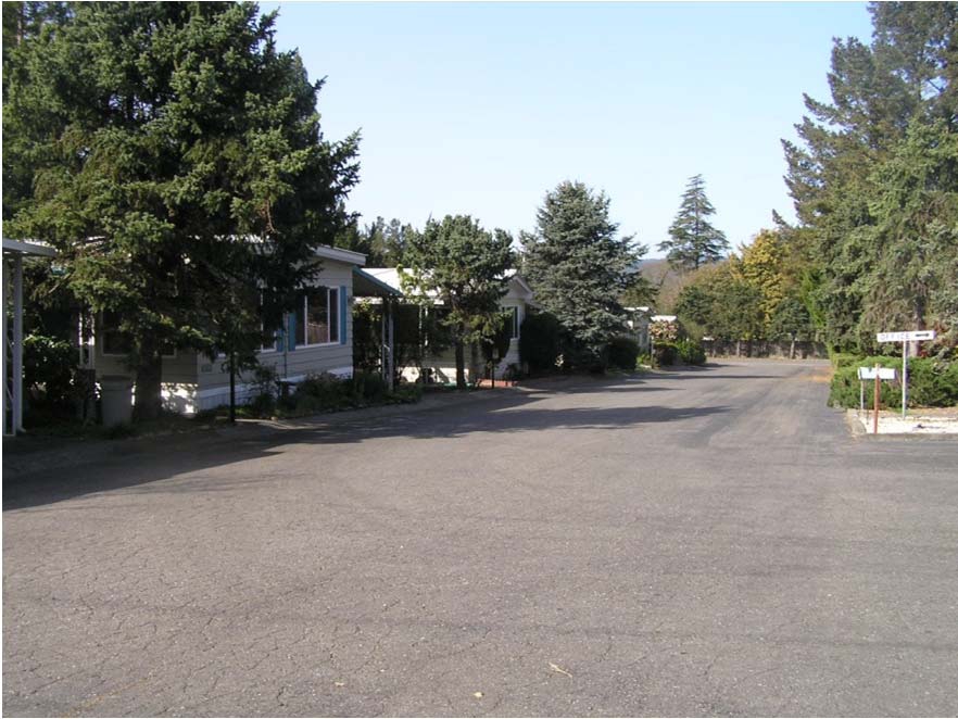 Primary Photo - Blue Spruce Mobile Home Lodge