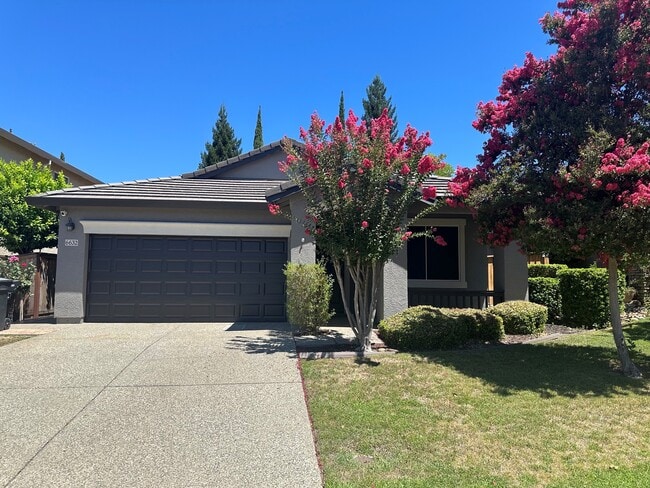 Front yard. - 6632 Maple Creek Dr