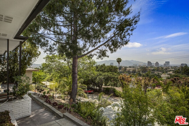 Building Photo - 612 Luton Dr